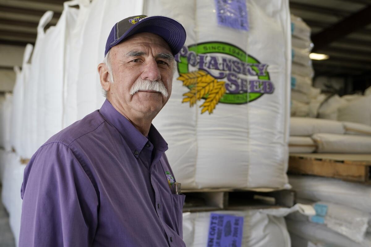 Adrian Polansky, a farmer and former executive director of the USDA’s Farm Service Agency office in Kansas during the Obama administration, stops for a photo while touring his seed processing plant near Belleville, Kan., Friday, March 5, 2021. More than a year after two U.S. Department of Agriculture research agencies were moved from the nation’s capital to Kansas City, they remain critically understaffed and some farmers are less confident in the work they produce. (AP Photo/Orlin Wagner)