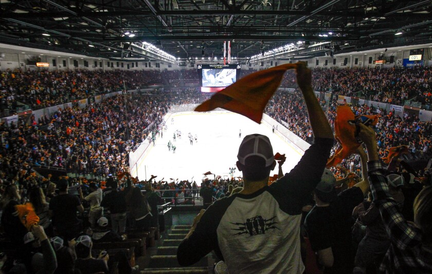 Fans cheer the Gulls after they scored a goal.