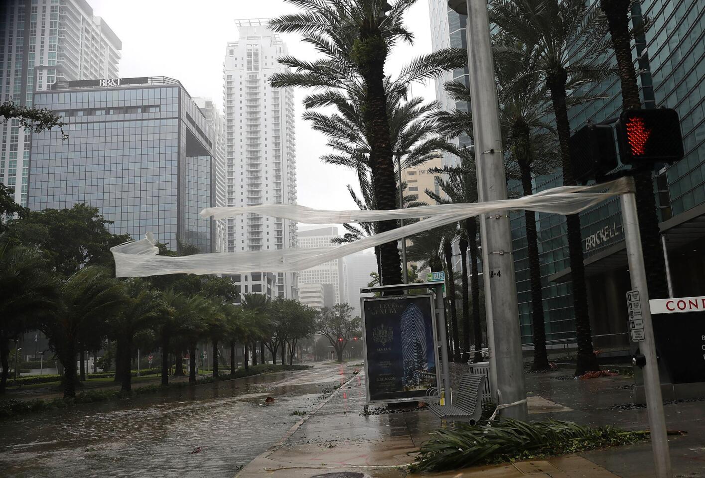 High winds blow through Brickell Avenue as Hurricane Irma arrives in Miami on Sept. 10, 2017.