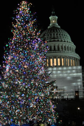 The U.S. Capitol Christmas tree is lit up.