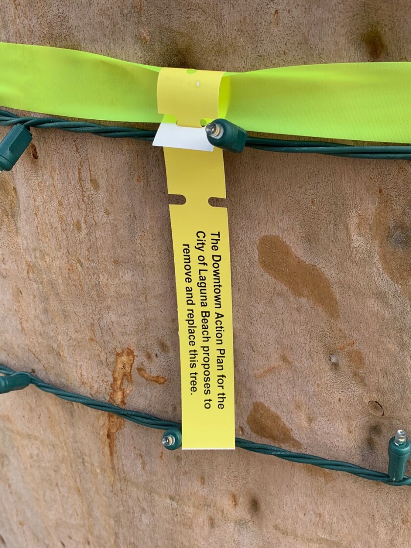 Trees on lower Broadway Street and Forest Avenue in Laguna Beach were tagged with yellow ribbons and markers indicating their planned removal as part of the Downtown Action Plan. Funding for that plan was up for City Council discussion Tuesday night.