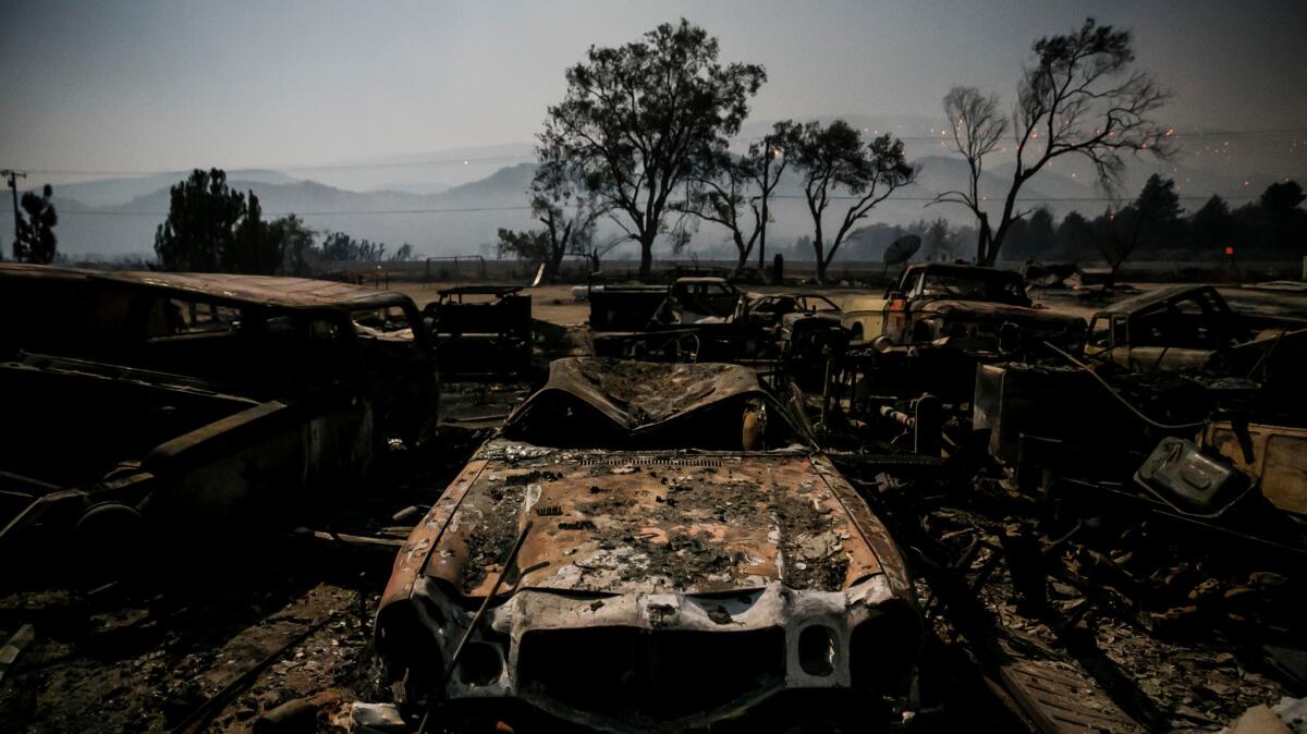 Burned vehicles glow in the light of the full moon on Highway 138 in Phelan as the Blue Cut fire burned in San Bernardino County.