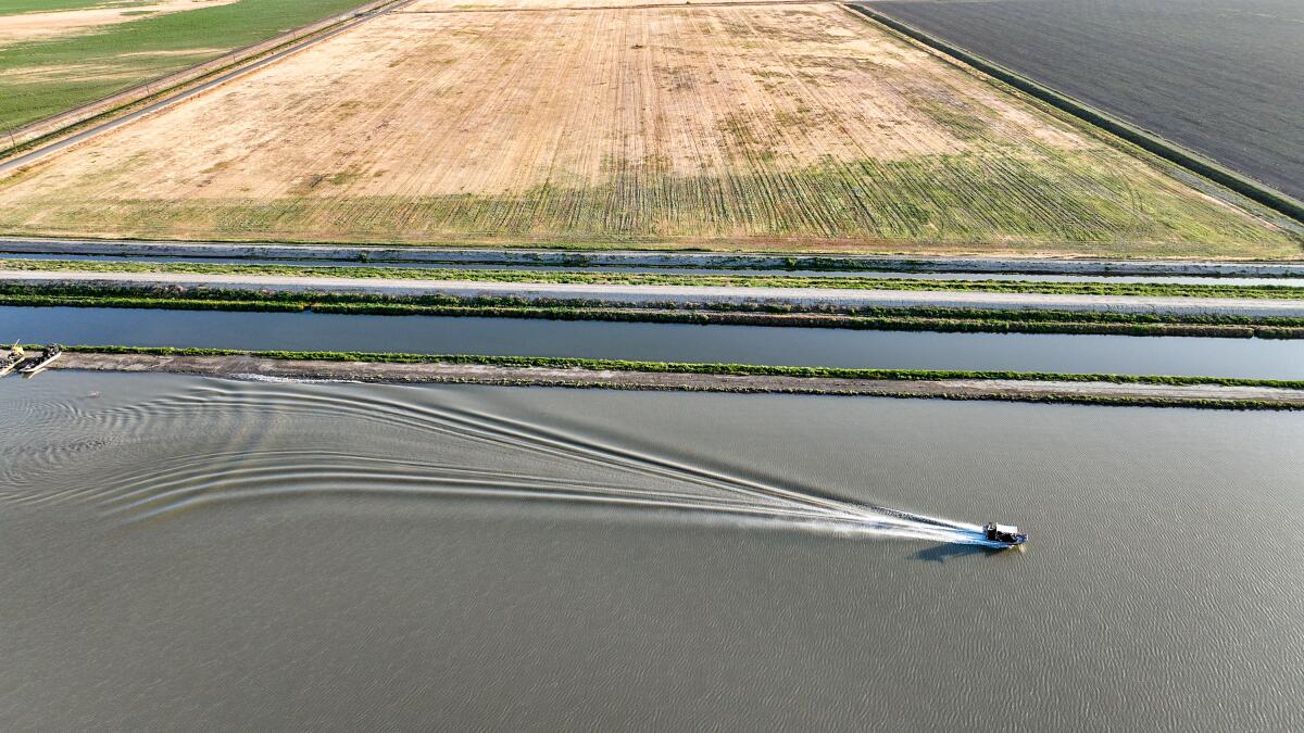 An aerial view of a boat skimming across the water near farm land.