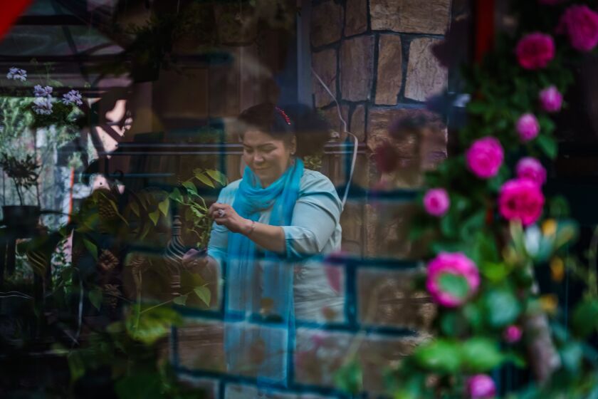 KABUL, AFGHANISTAN -- MAY 18, 2021: Laila Haidari tends to her flower garden at her cafe Taj Begum, a cafe in KabulOs shabby-chic Puli Surkh neighborhood, in Kabul, Afghanistan, Tuesday, May 18, 2021. (MARCUS YAM / LOS ANGELES TIMES)