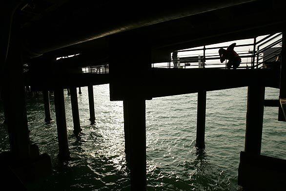 The tall pilings and numerous vantage points allow for a variety of views around the pier.