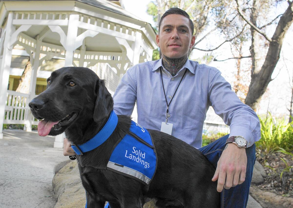 Jack, a 2-year-old drug-sniffing dog for Costa Mesa-based Solid Landings Behavioral Health, which operates sober-living homes throughout the city, stands with one of his handlers, Timothy Arrigo.