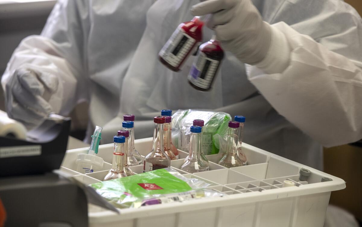 Un técnico procesa los especímenes en el laboratorio de microbiología clínica de UCLA en Brentwood.