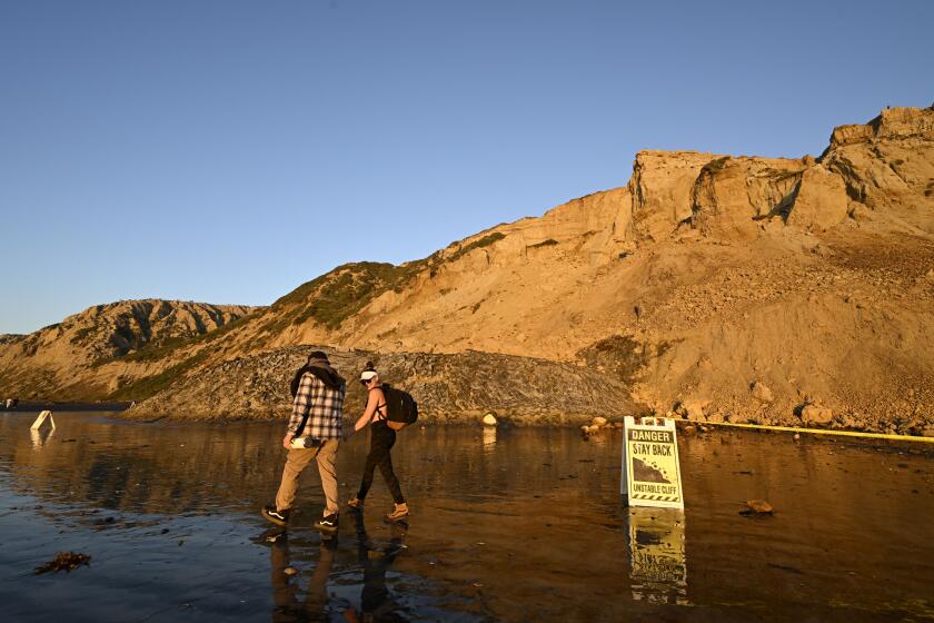 Beach goers walk past a bluff collapse at Blacks Beach Jan. 20, 2023 in San Diego. (Photo by Denis Poroy)