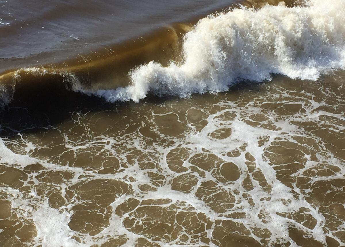 A red tide reached San Diego in 2020.