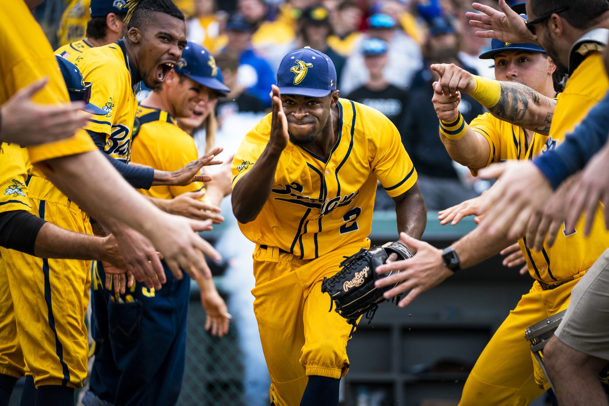 Savannah Bananas outfielder Malachi Mitchell [2) and other members of the starting lineup take to the field.