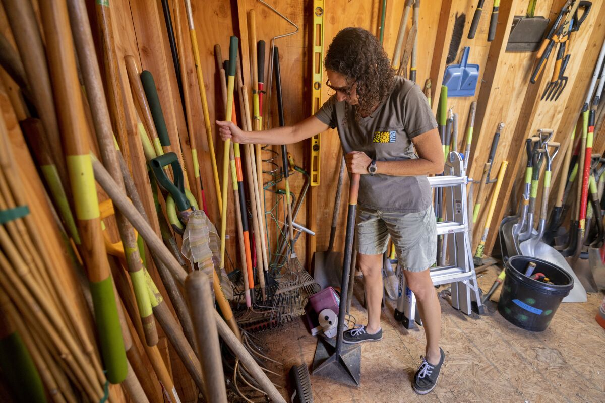 A woman selects a tool in the tool lending library shed.