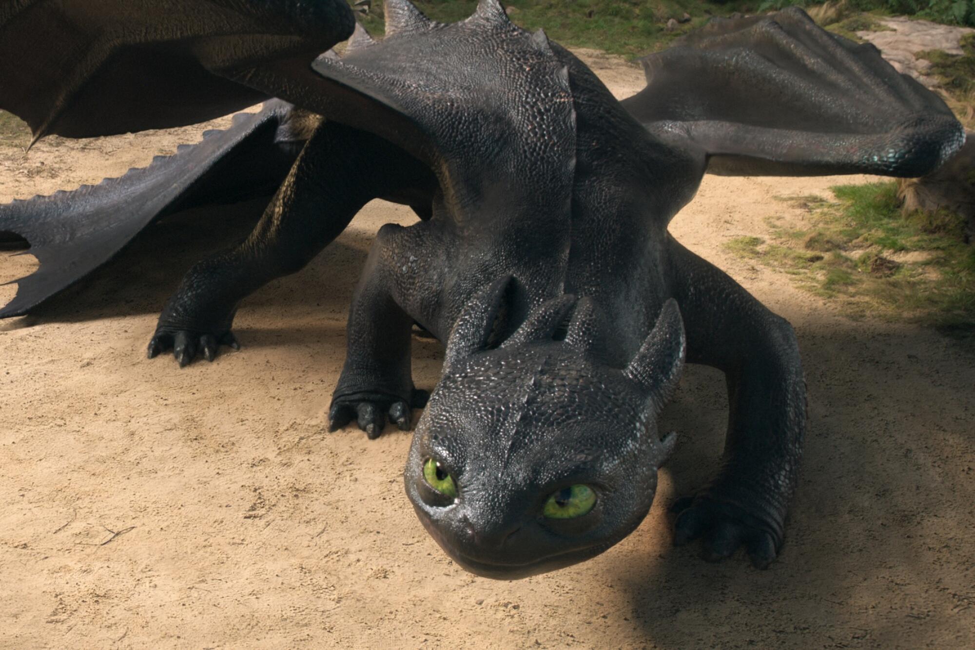 A dragon cowers, afraid.