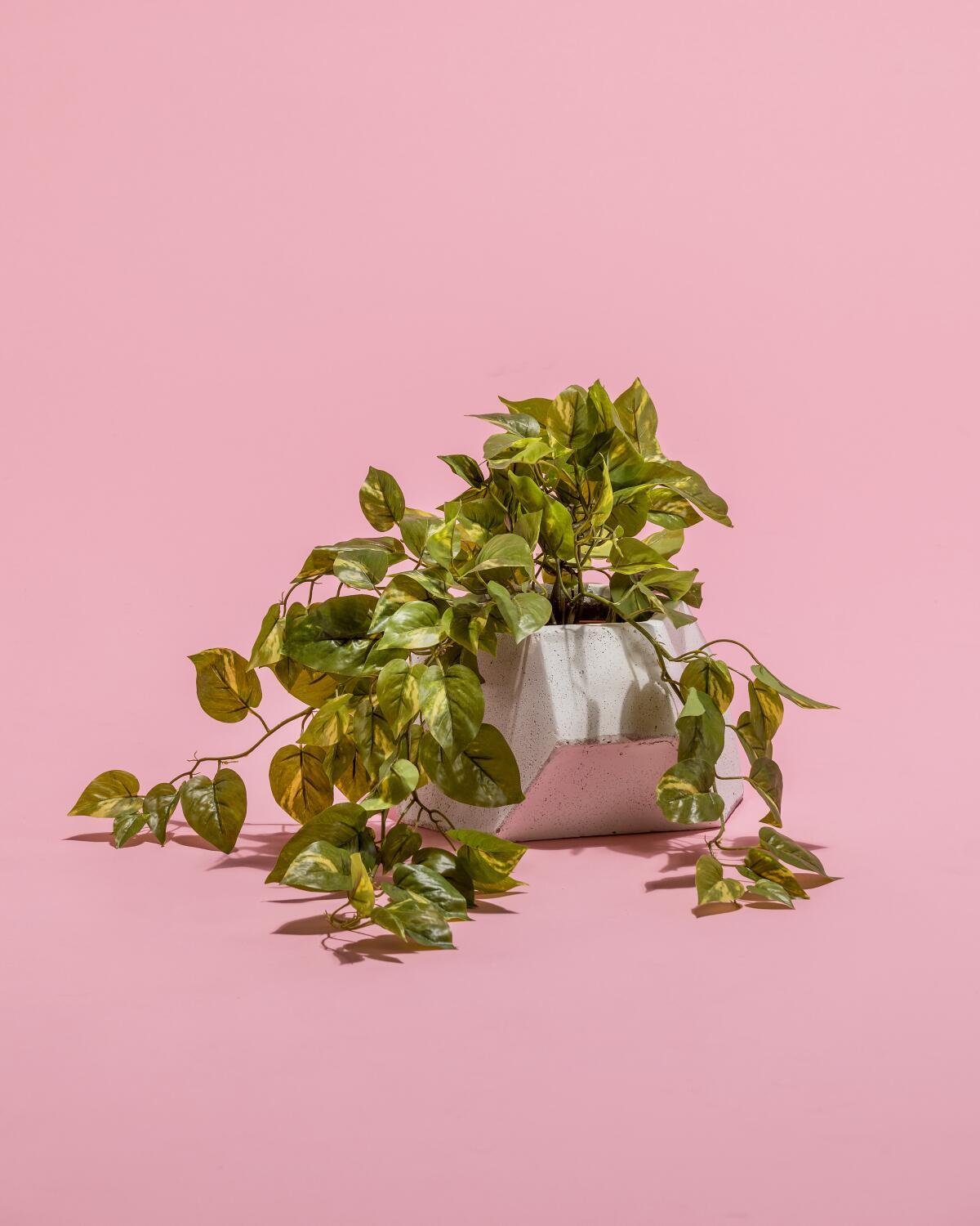 make-fake-plants-look-real-fake-stems-dreamalittlebigger-11