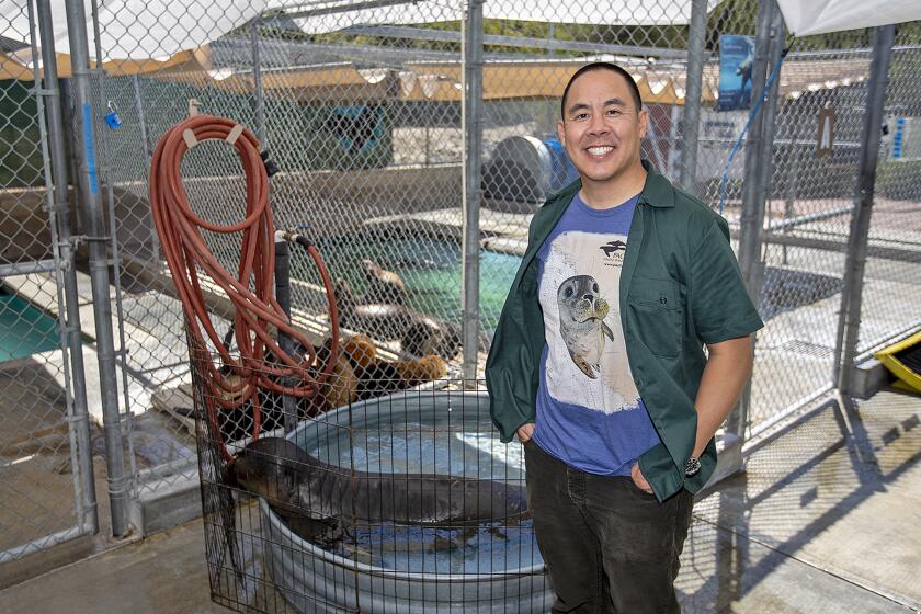 Pacific Marine Mammal Center CEO Peter Chang.