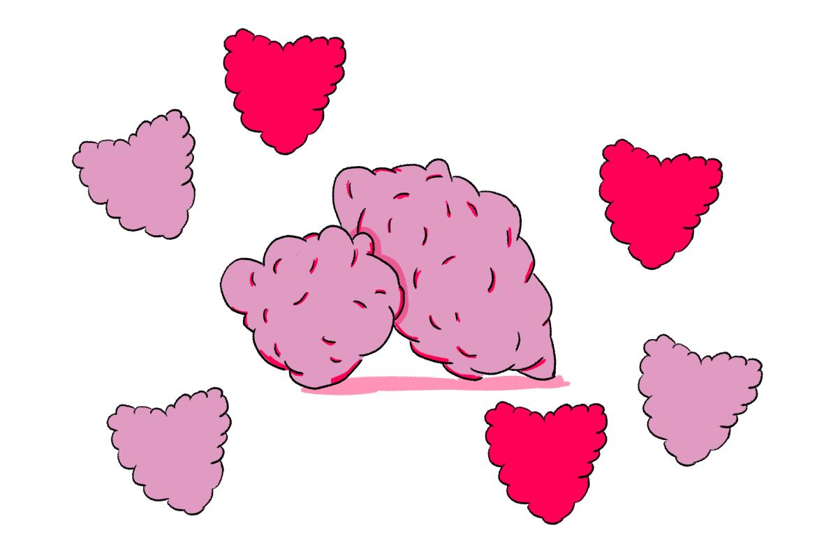 Illustration of marijuana and hearts