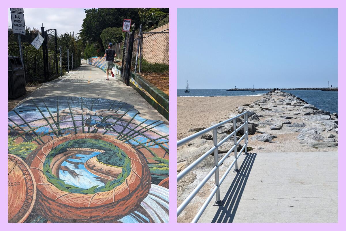 L: A wildflower mural near Stoneview Nature Center. R: Ocean views at the west end of Park to Playa Trail.