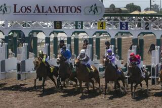 Horses race at Los Alamitos Race Track