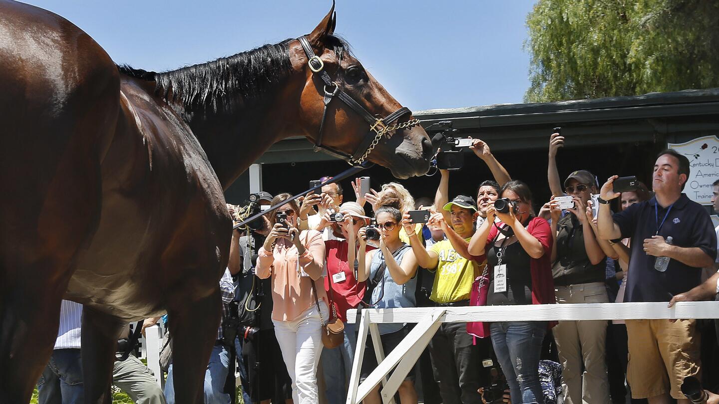 The Triple Crown winner with fans outside his barn at Santa Anita Park.