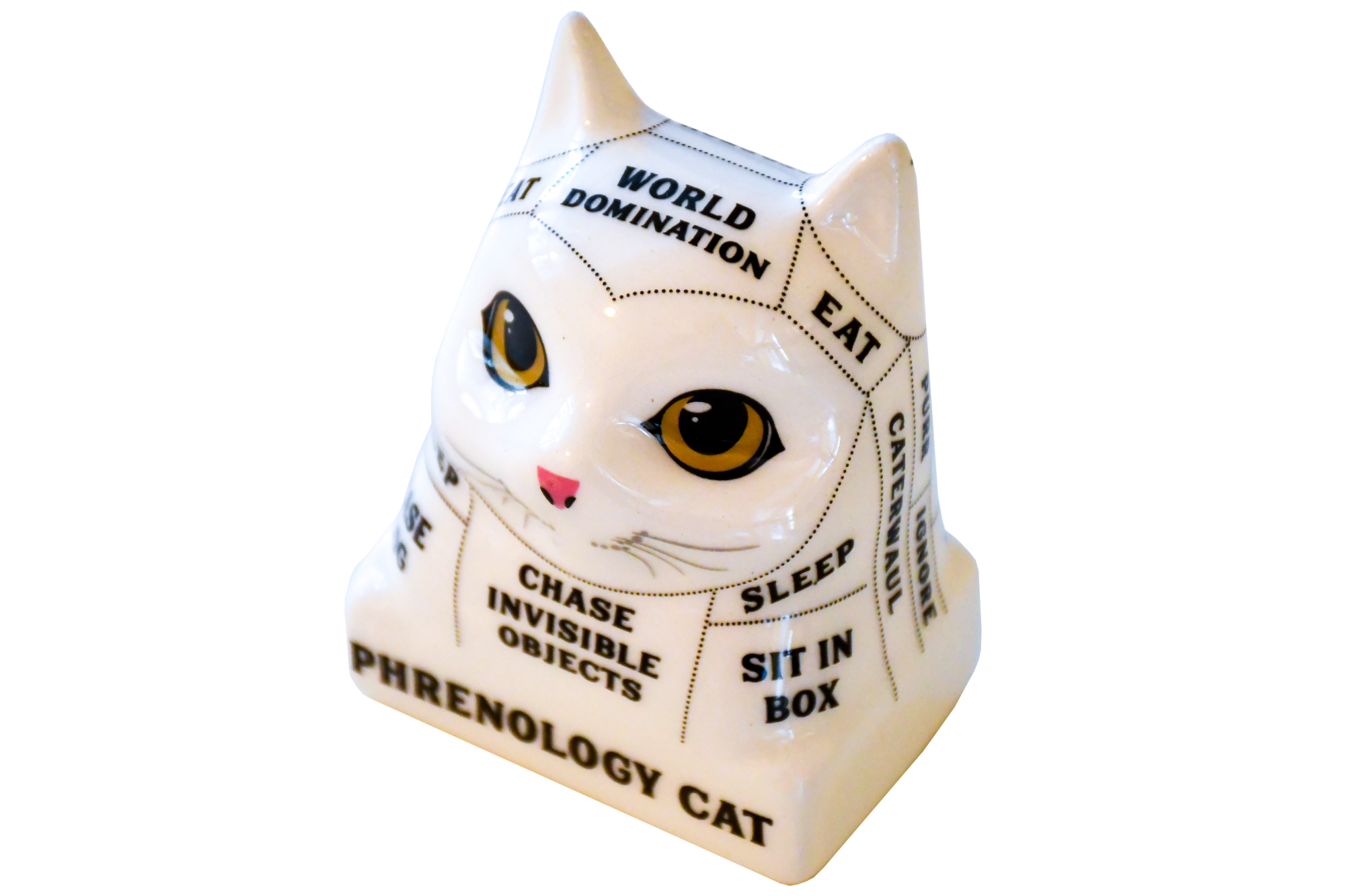 A ceramic cat head with lines dividing it into sections labeled with words such as "eat" and "chase invisible objects"