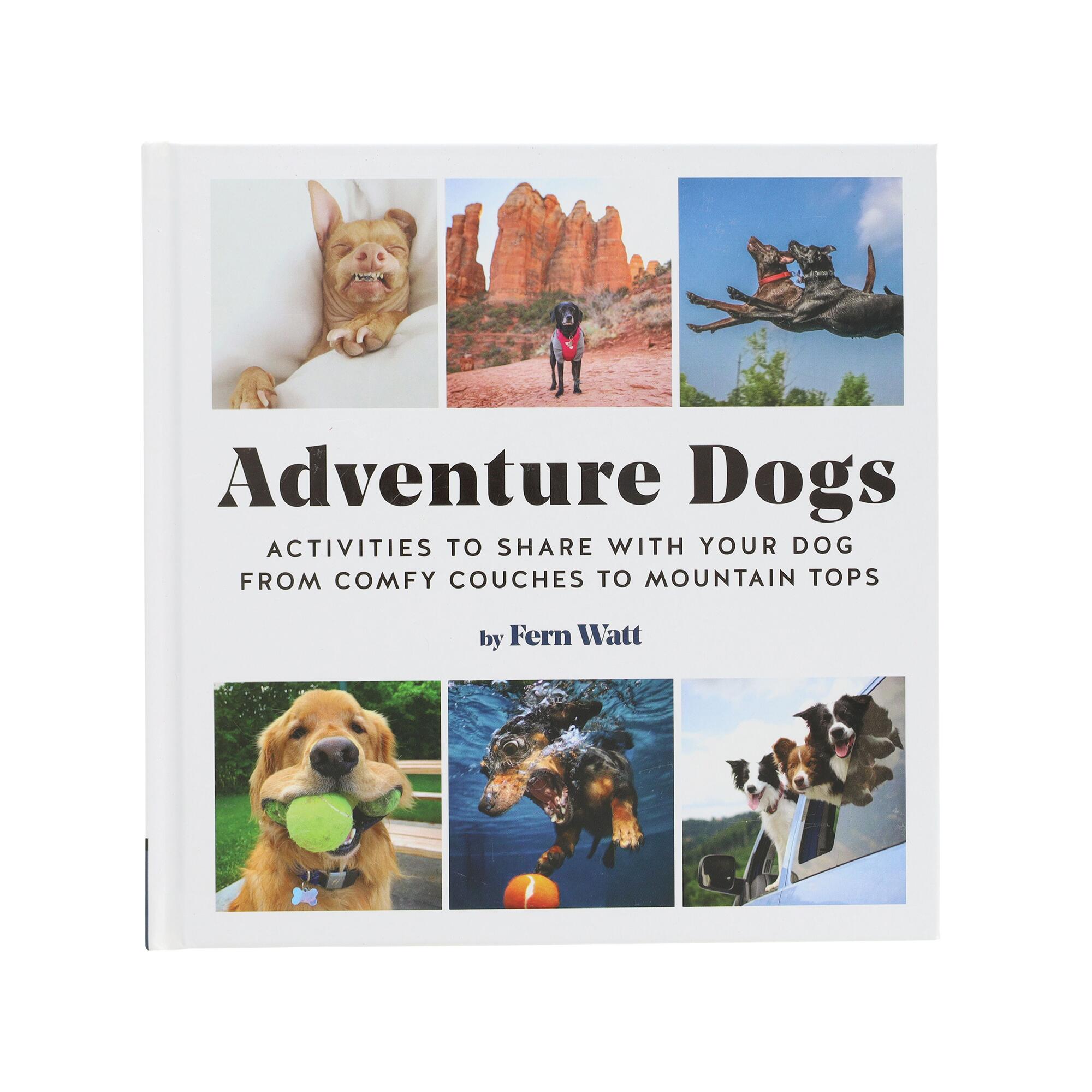 The cover of "Adventure Dogs"