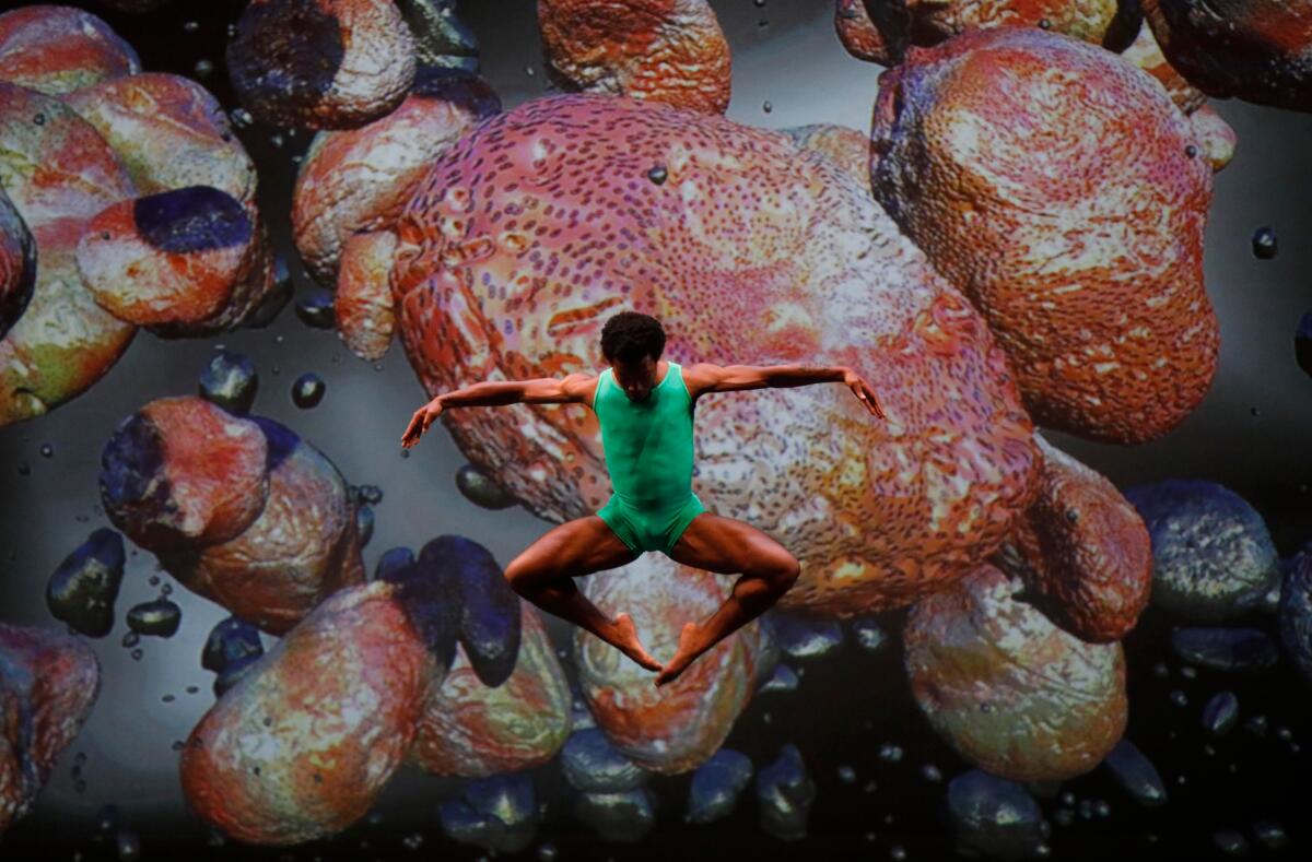 Dancer Barry Brannum rehearsing for "Night of 100 Solos - A Centennial Event." Against a sea creature backdrop, he leaps in the air, legs turned outward and toes together.