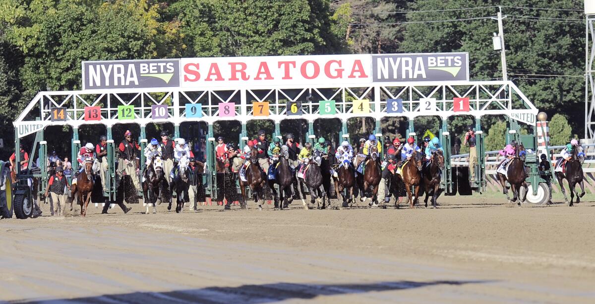 Horses break from the starting gate at Saratoga Race Course