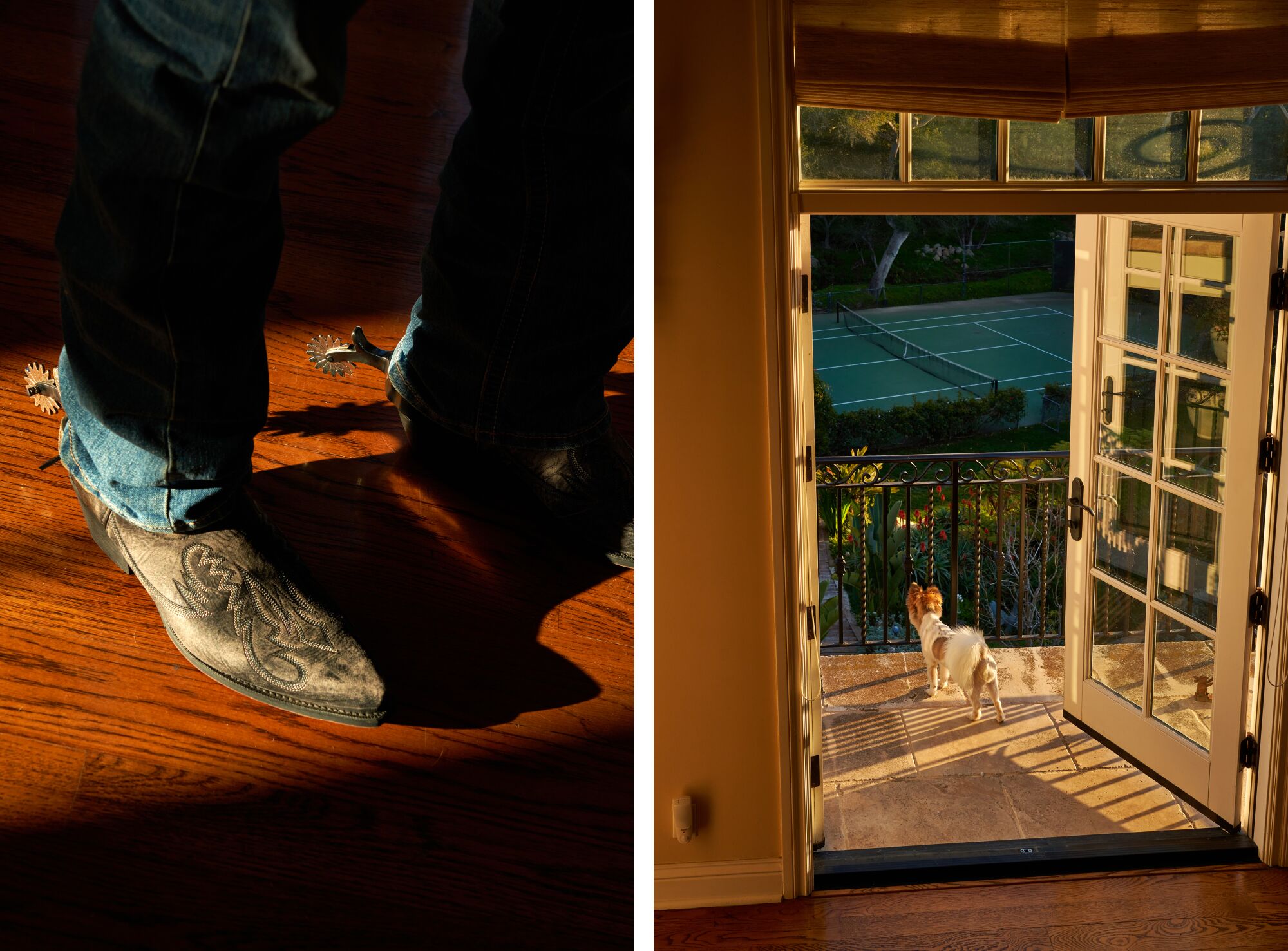 In a split photograph, a man's boots, left, and a dog on a balcony, right.