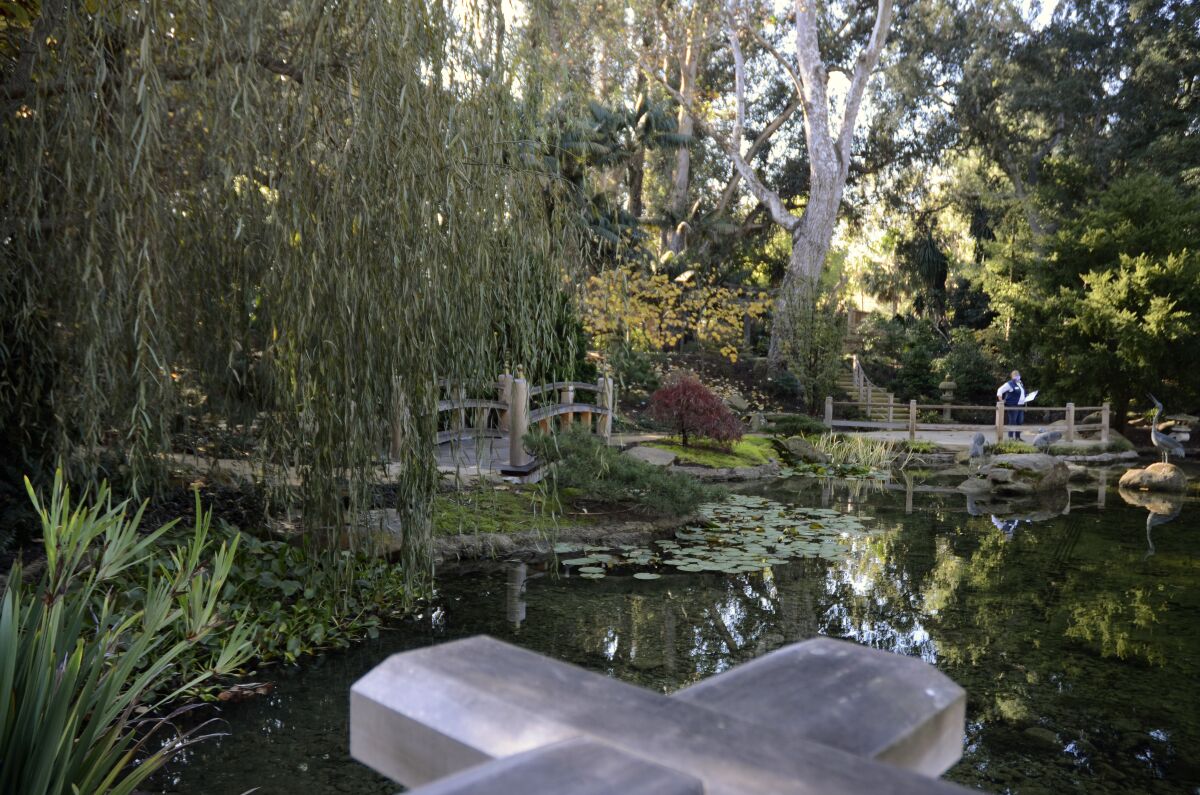 A person seen from another viewing area stands on the Torii Landing overlooking the reflecting pond with koi and water lilies in the Japanese Garden at Lotusland, on Monday, Nov. 23, 2020, in Montecito, Calif. The lotuses bloom in June, July and August in the pond. The central pond was recently reconstructed, and afterwards, aquatic plants and a new biofiltration system were added. (AP Photo/Pamela Hassell)