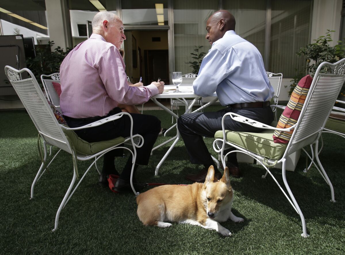 Sutter, the Pembroke Welch Corgi belonging to Gov. Jerry Brown, sits in the sun as Brown, left, discusses a bill awaiting his signature with his Legislative Affairs Secretary Gareth Elliot this week.