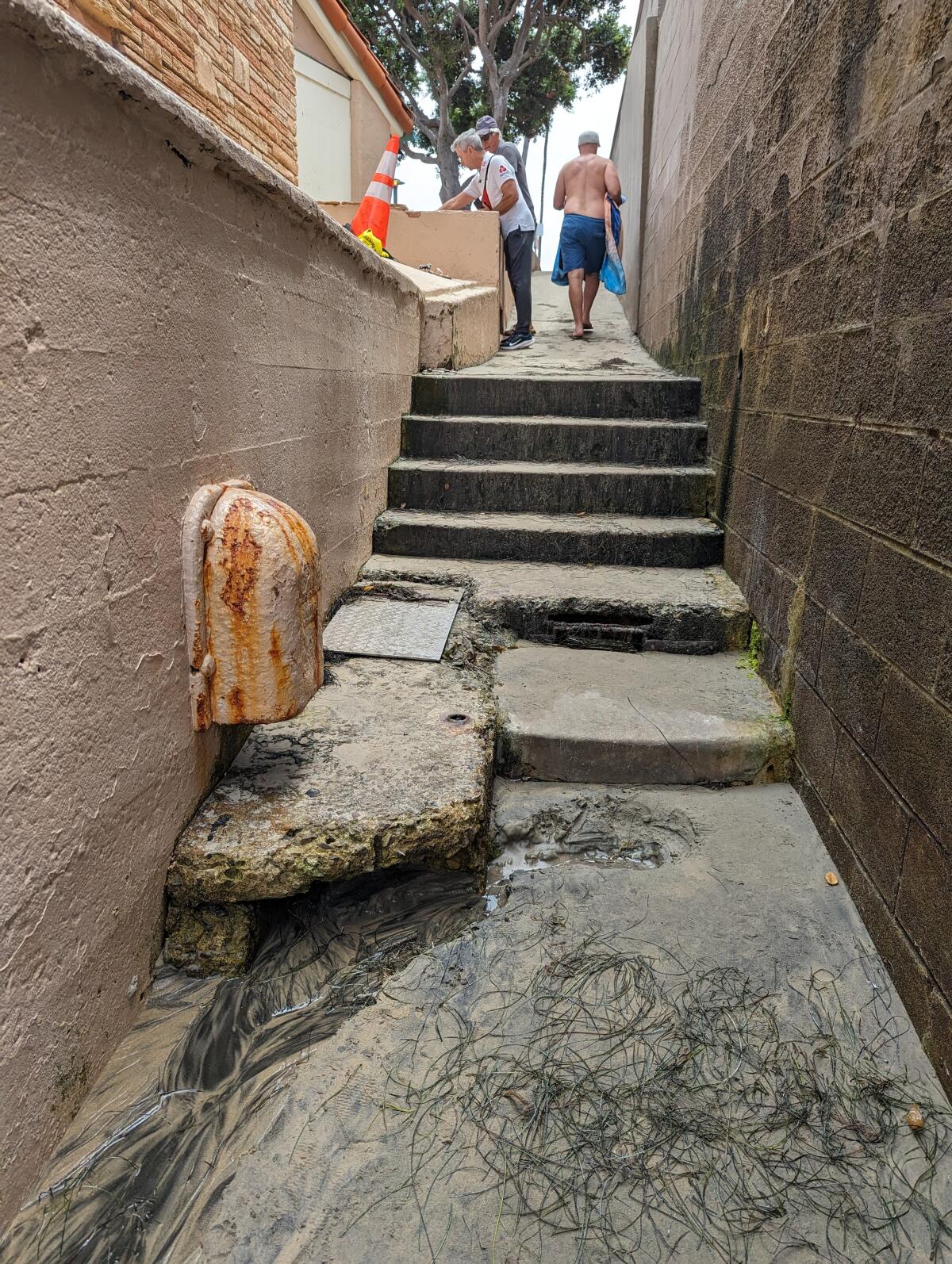 This accessway from Spindrift Drive to the beach will be studied to help decide how to proceed with an improvement project.