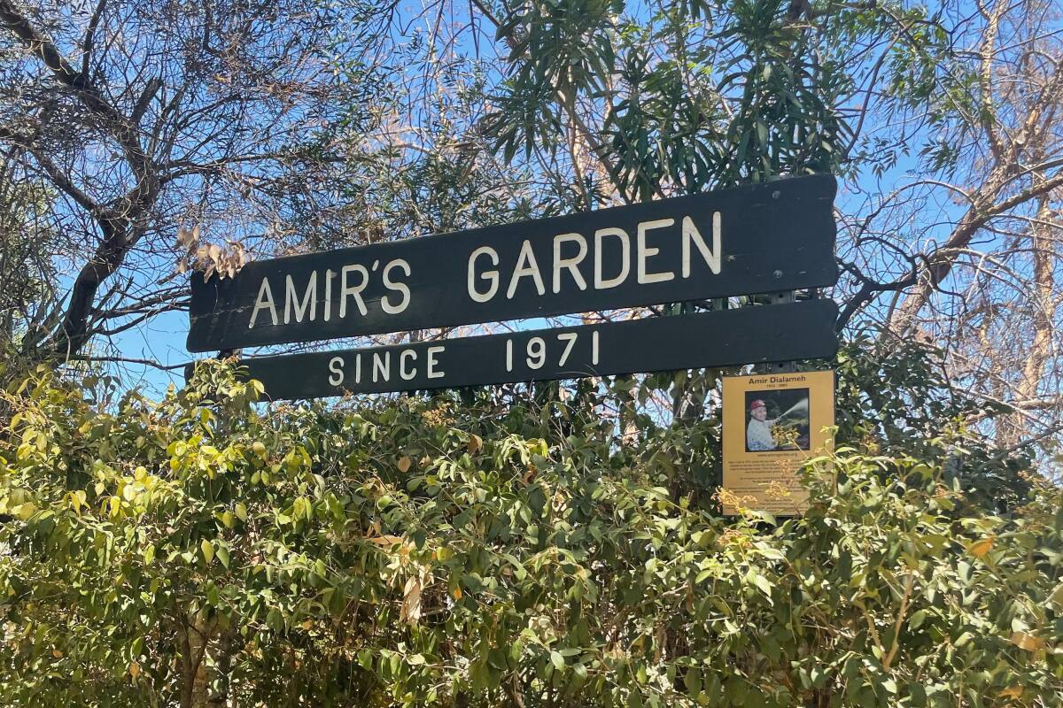 Amir's Garden