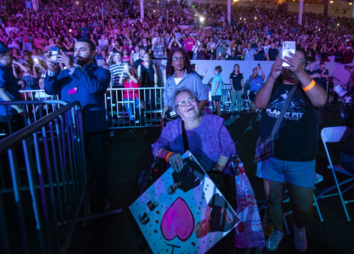 Pitbull fan at 2019 L.A. County Fair