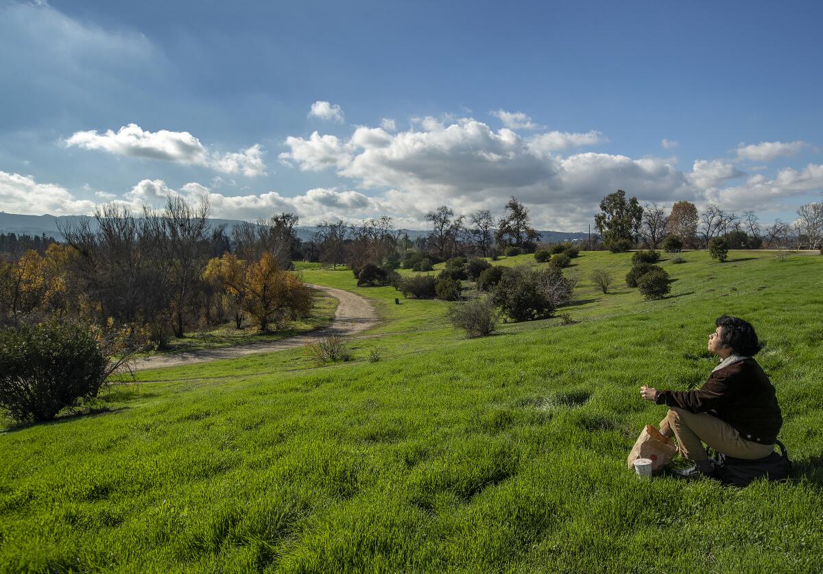 A visitor enjoys a picnic lunch during a visit to grassy Lake Balboa Park under blue sky with white clouds.