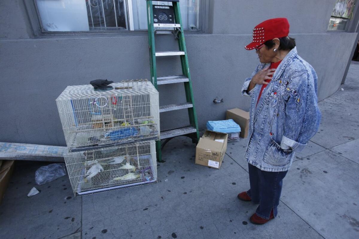 Celina Hill reacts as she looks at cages of dead birds after a fire swept through the Western Pet Shop in Koreatown.
