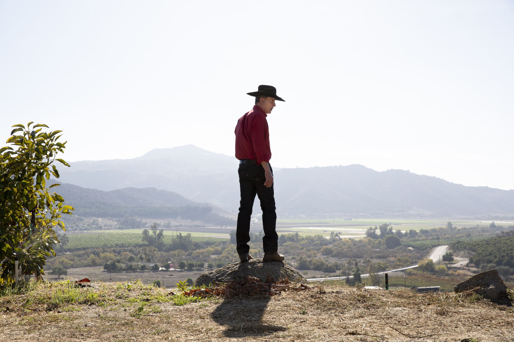 Hank Rupp looks into a valley of avocados, citrus and grapes at Rancho Guejito Vineyard in San Pasqual Valley.