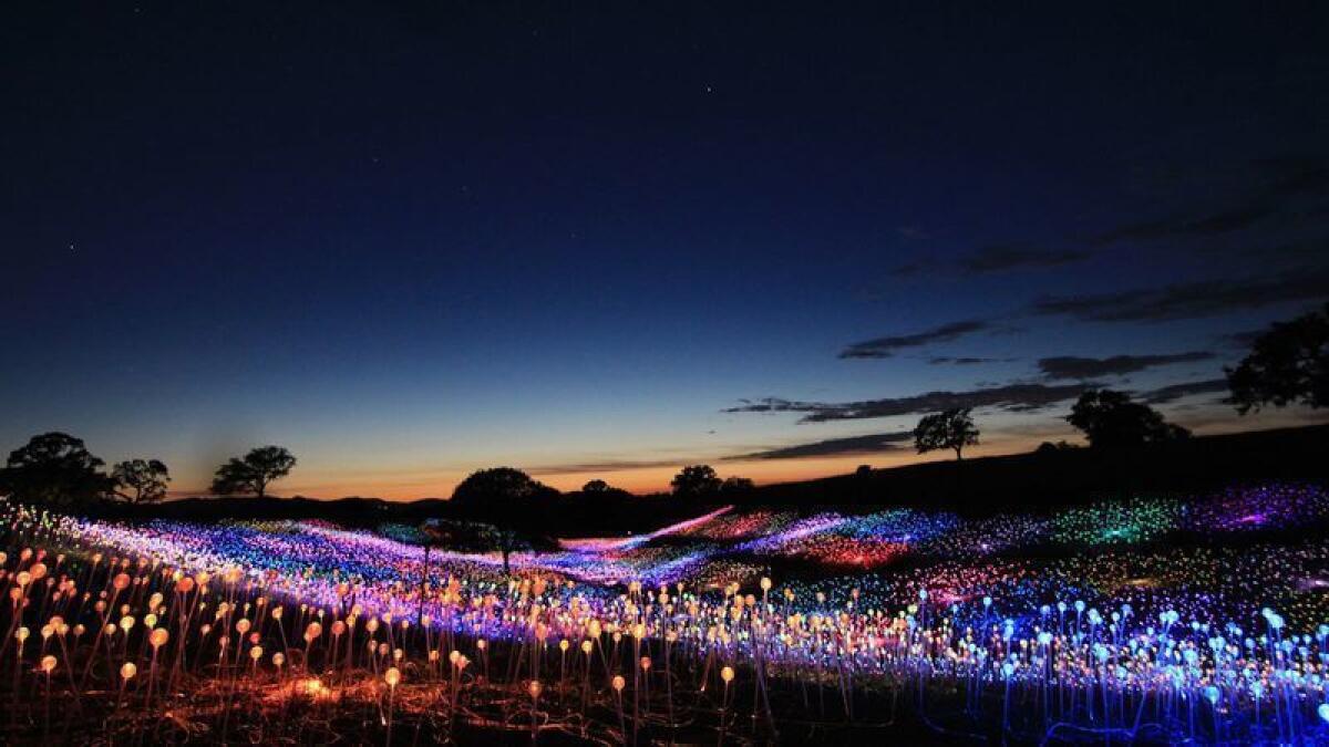 “Field of Light at Sensorio” is a sculpture that combines nature, art and technology, all set in a Paso Robles field.