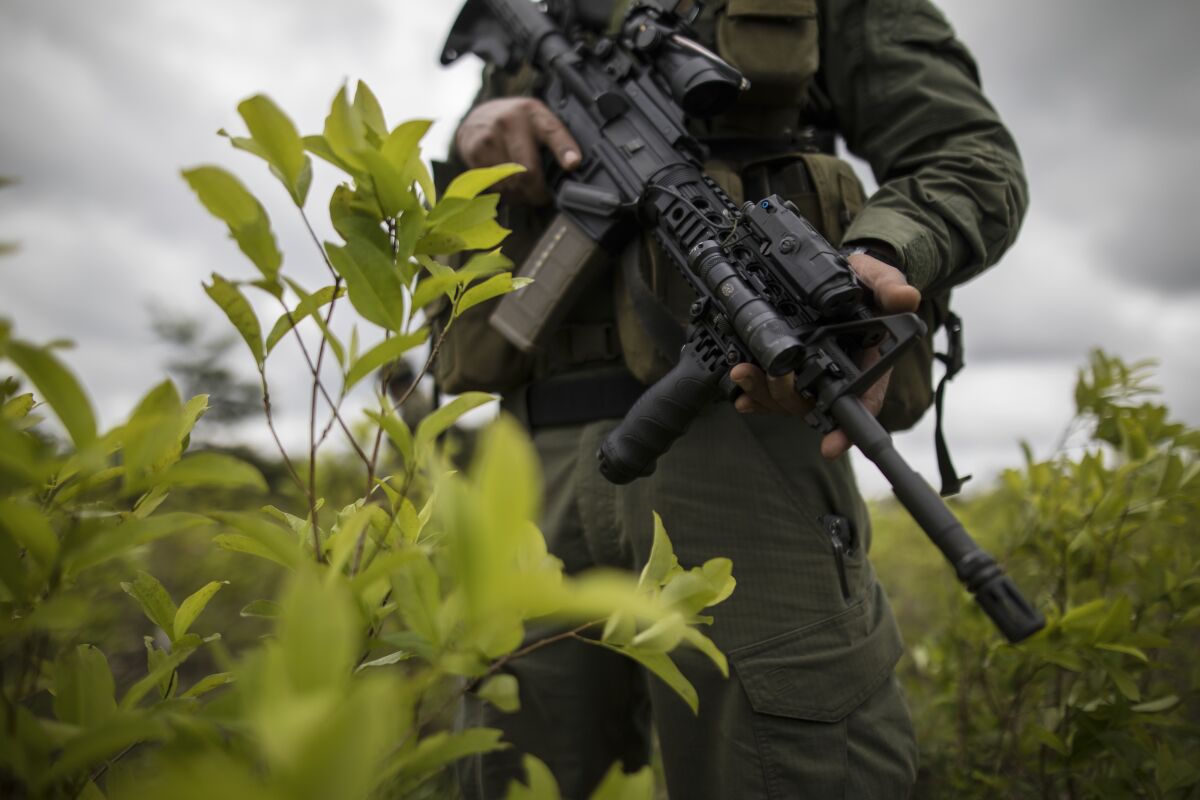 FILE - In this Dec. 30, 2020 file photo, a police officer stands on a coca field during a manual eradication operation in Tumaco, southwestern Colombia. Mosquera facing up to 20 years in a federal U.S. prison for allegedly betraying the Drug Enforcement Administration to the same drug traffickers they were jointly fighting. (AP Photo/Ivan Valencia, File)