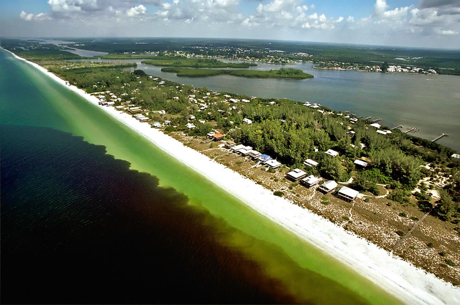 Massive 'Florida red tide' is now 90 miles long and 60 miles wide - Los  Angeles Times