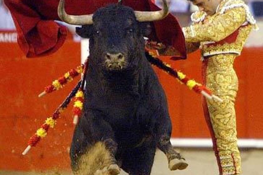 Matador Jose Tomas, at work in Barcelona in September, has revived a passion for bullfighting in Spain.