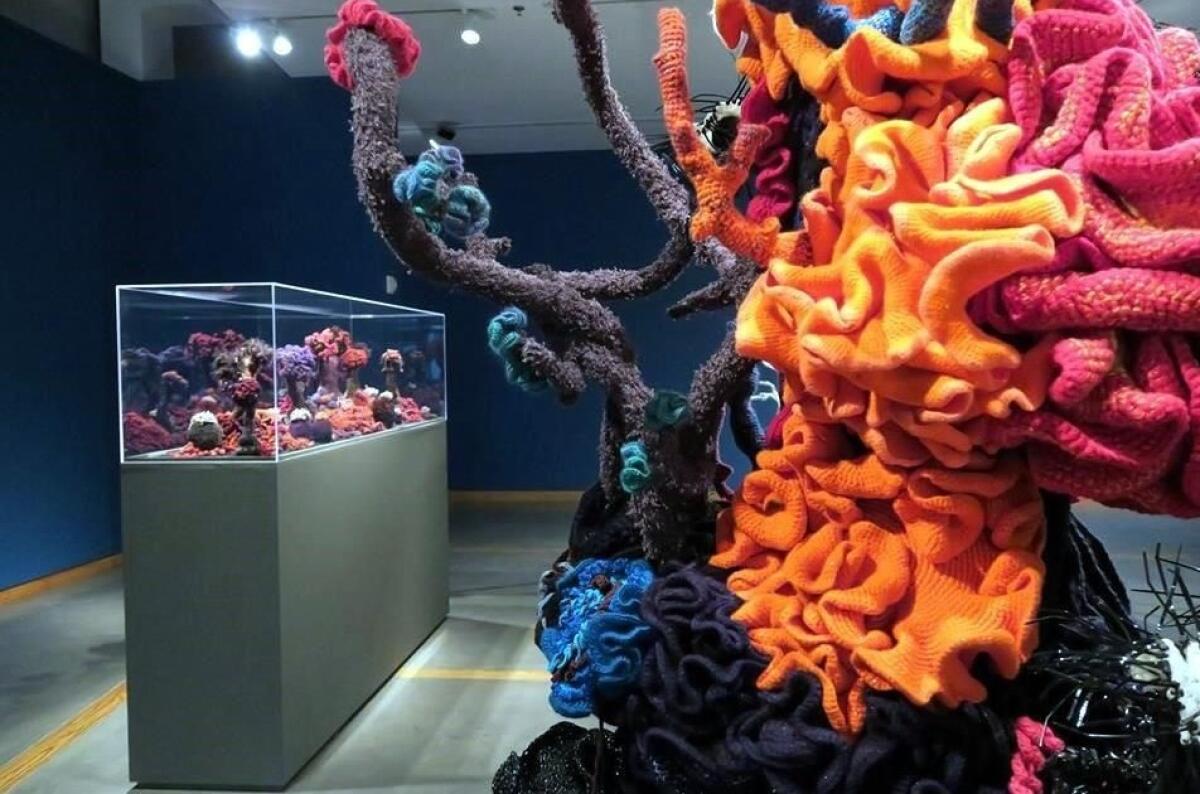 Un arrecife de coral, tejido en croché de manera colaborativa, es un recordatorio del cambio climático