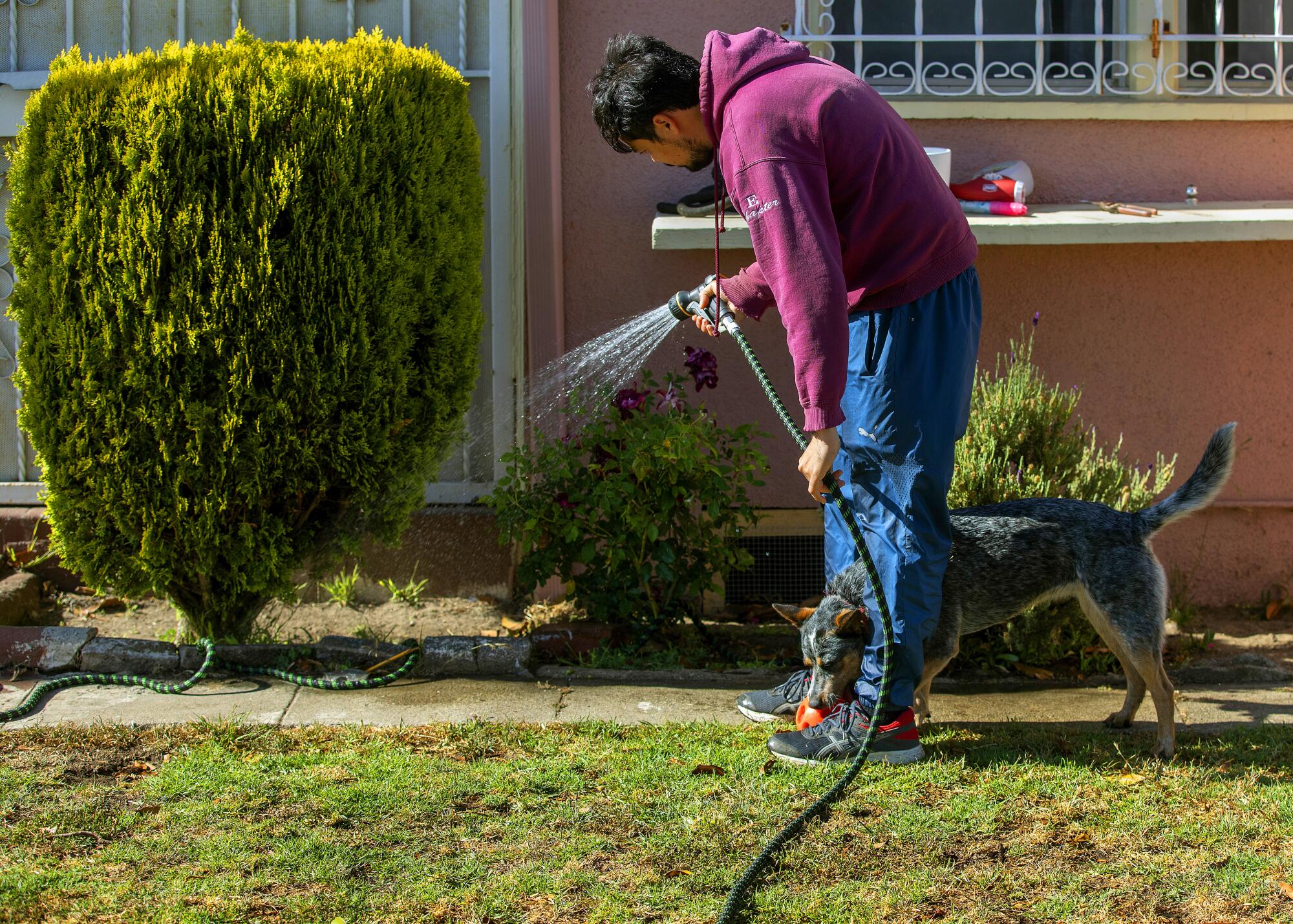 Jose Felix, 32, waters the front of his home on 84th Street in Los Angeles.