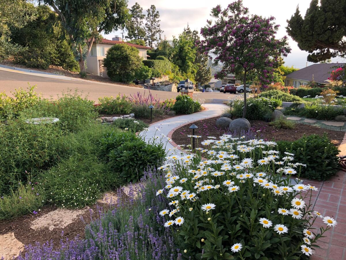 Plants that attract pollinators and birds help soften a hardscape of brick, pavers and concrete at the Montgomerys' home.