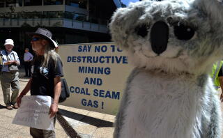 Protesters hold placards and banners during a rally against Whitehaven Coal in Sydney in 2014.