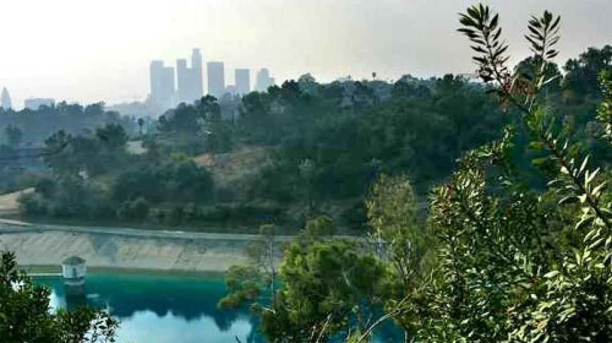 BUCOLIC SETTING: Elysian Reservoir just east of downtown L.A. is one of six open-air drinking water reservoirs in the city.