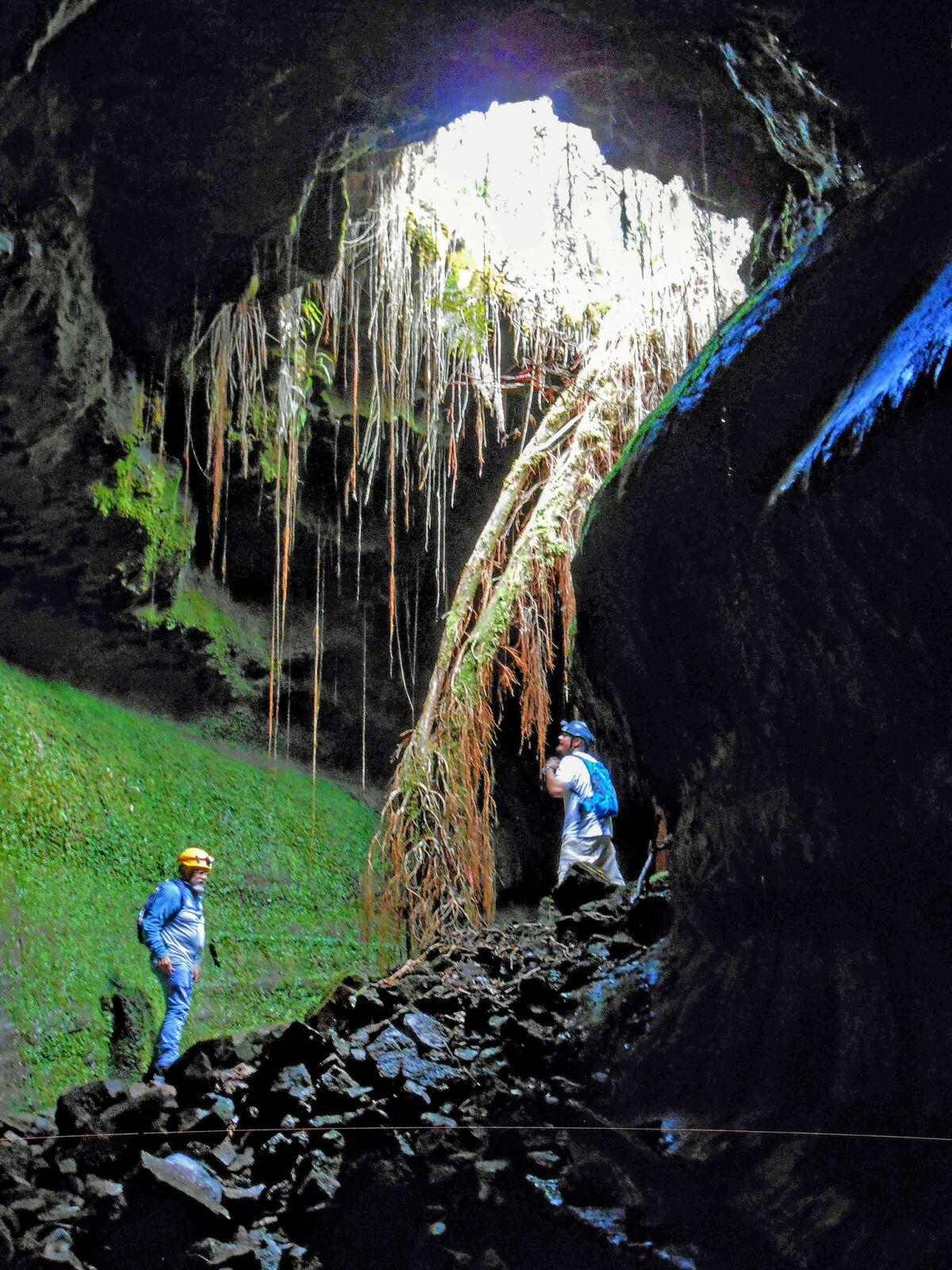 Members of veterans retreat group look to a skylight, a little more than a mile into the 41-mile-long lava tube in Pahoa on Hawaii Island, through which roots from an ohia tree have found their way.
