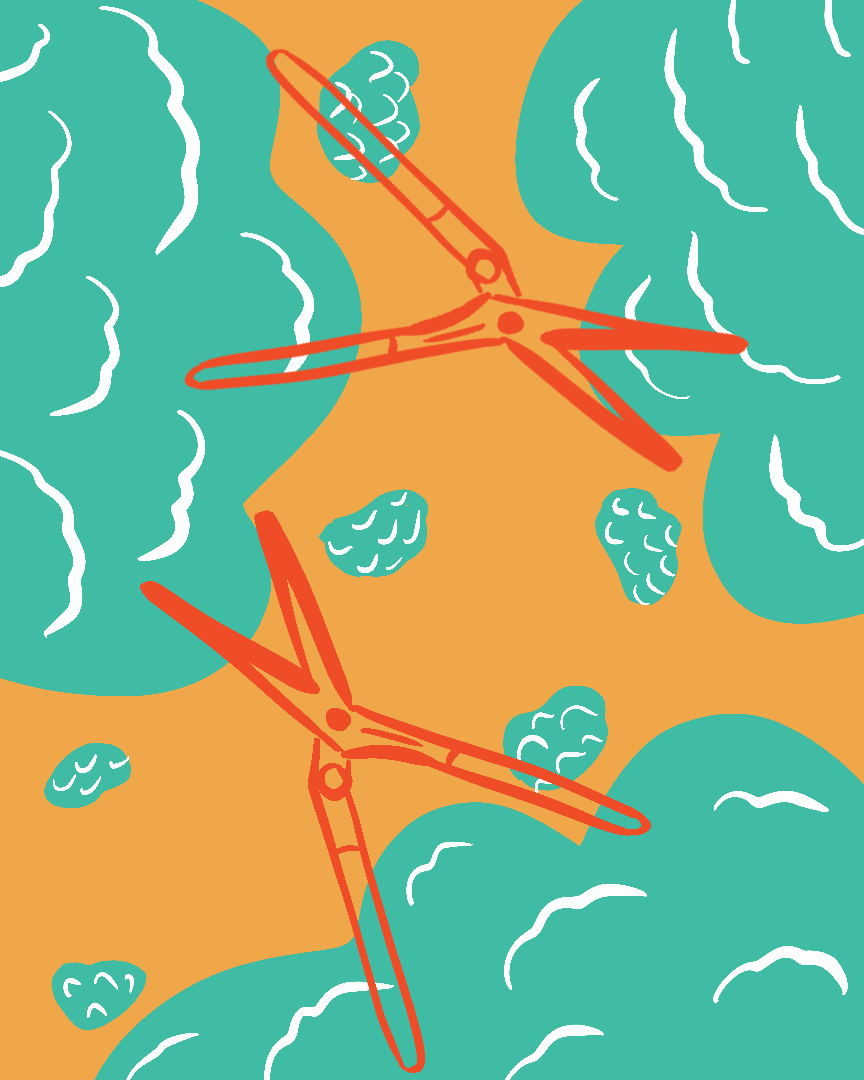 Animated illustration of shears trimming shrubs.