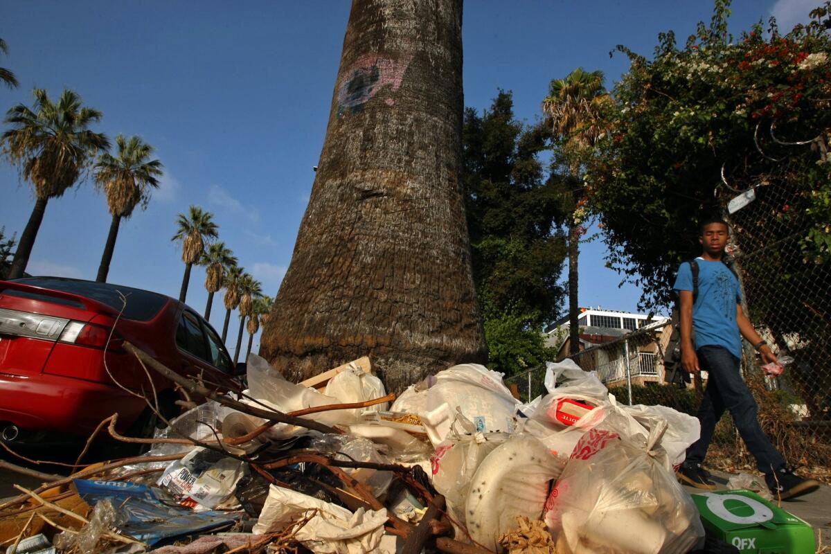 A pedestrian walks past a pile of garbage left next to a palm tree on Beacon Avenue in the Pico-Union section of Los Angeles.