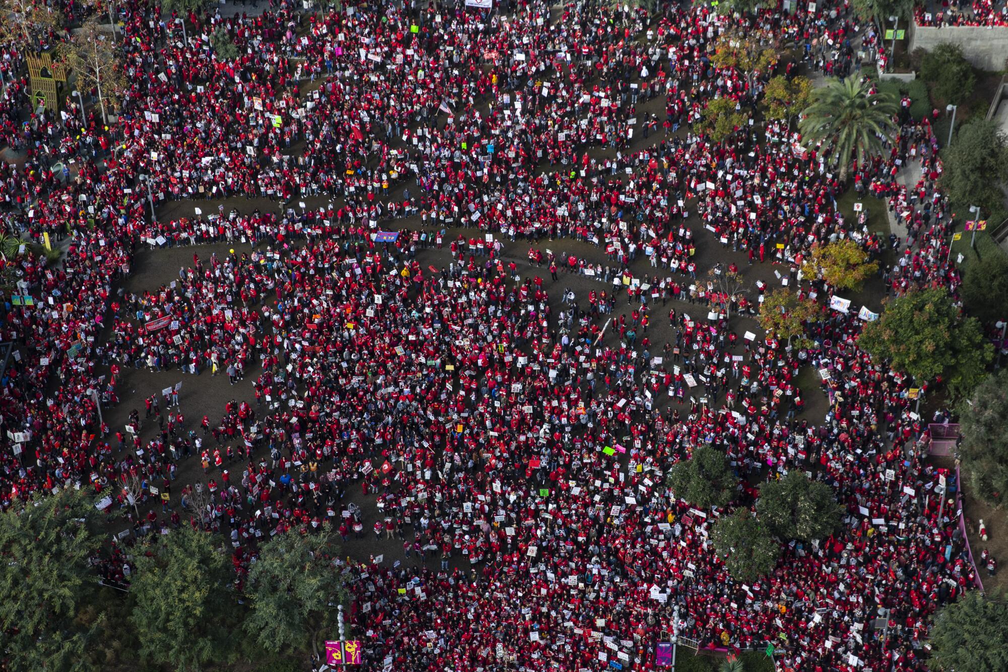 An aerial view of a crowd of demonstrators.