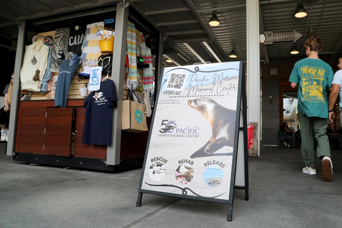 A new Pacific Marine Mammal Center kiosk opened at Huntington Beach's Pacific City shopping center on July 7. 