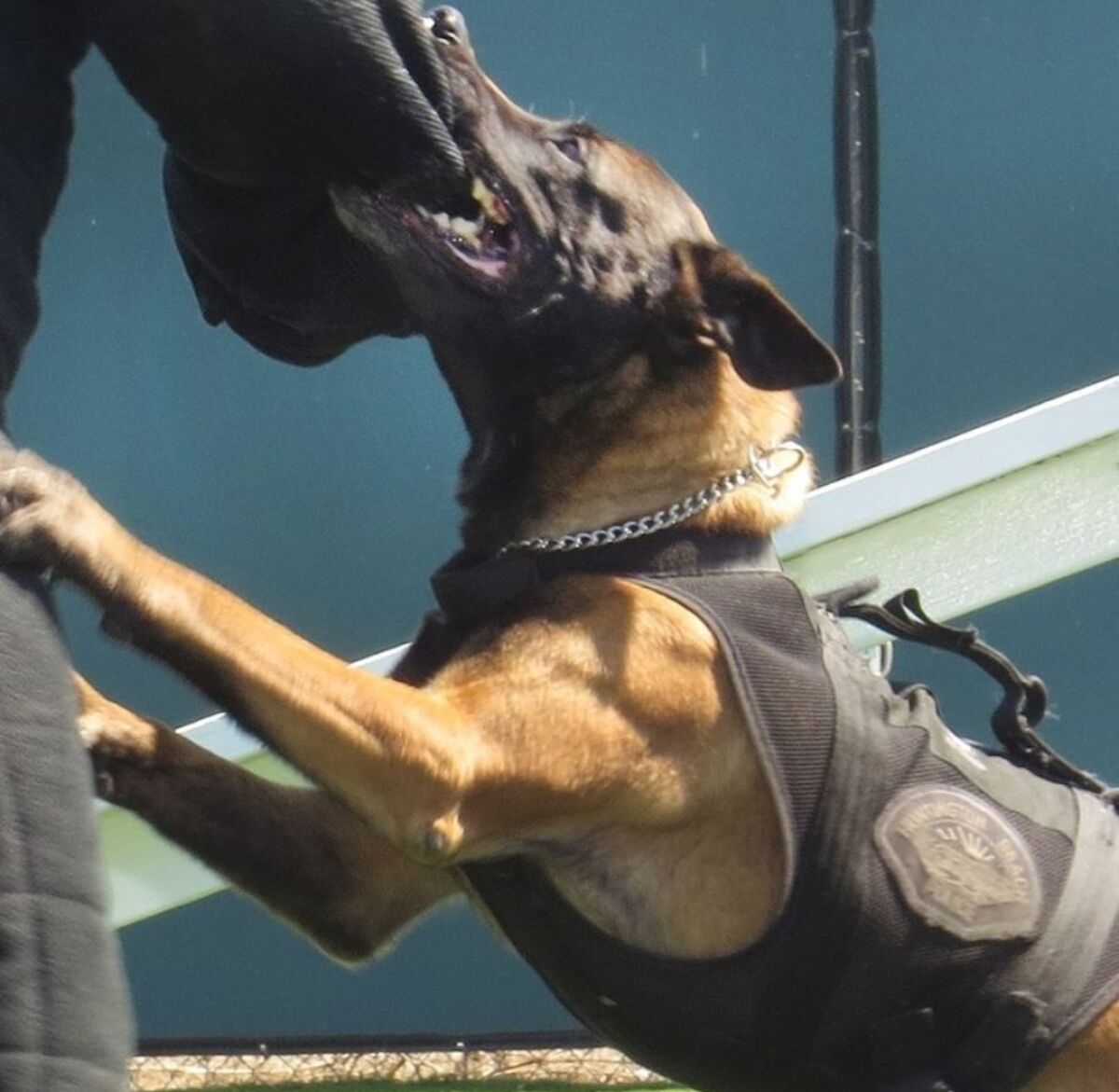 Marco trains for an arrest by using force.
